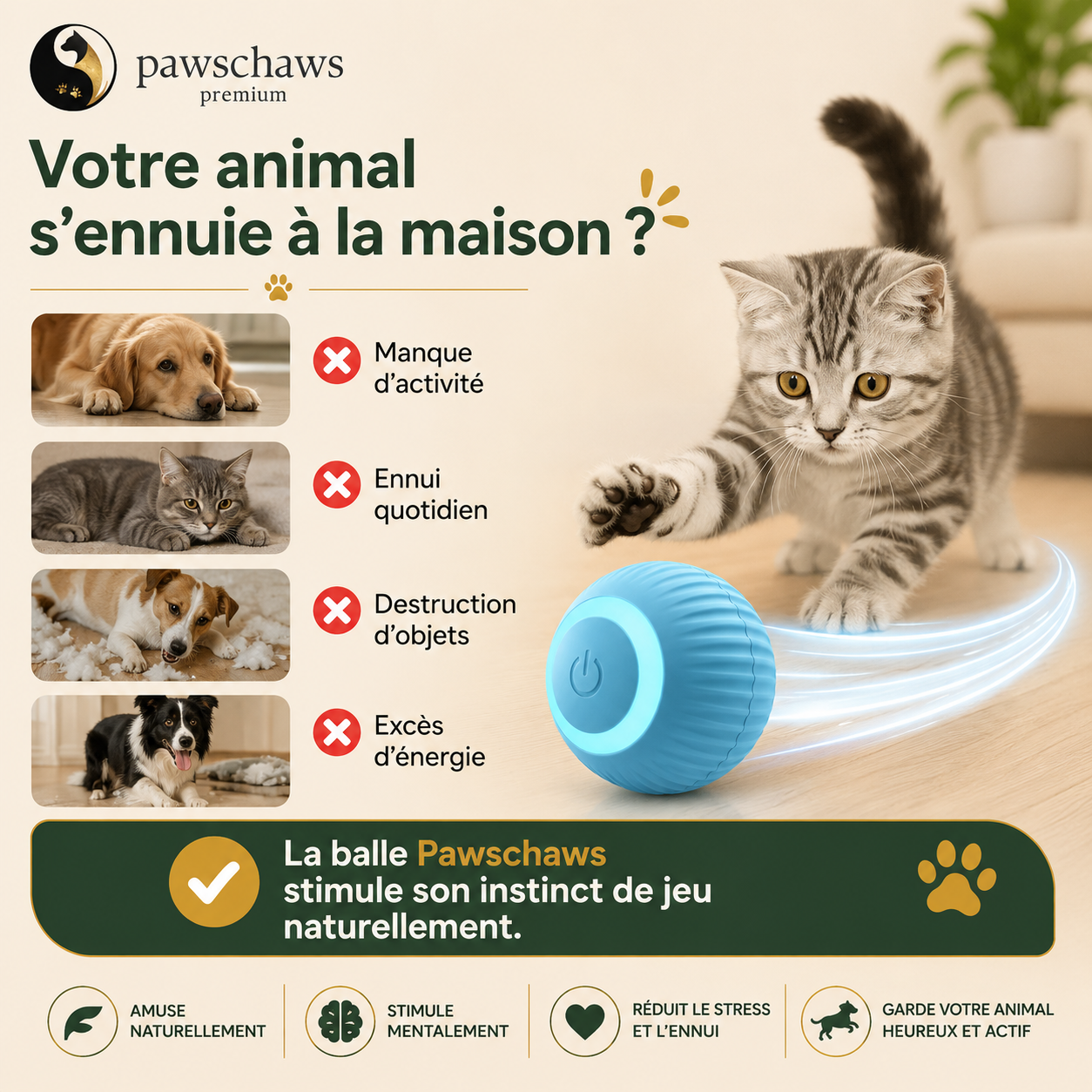 Balle interactive rechargeable par USB Type-C pour chat et chien.