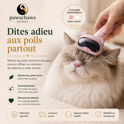 Brosse de toilettage autonettoyante utilisée sur un chat à poils longs.