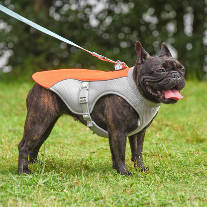 Veste Rafraîchissante pour Chien