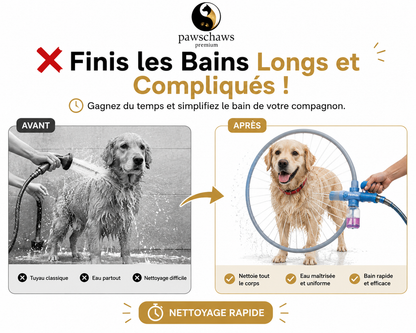 Comparaison avant après avec système DogWash 360.
