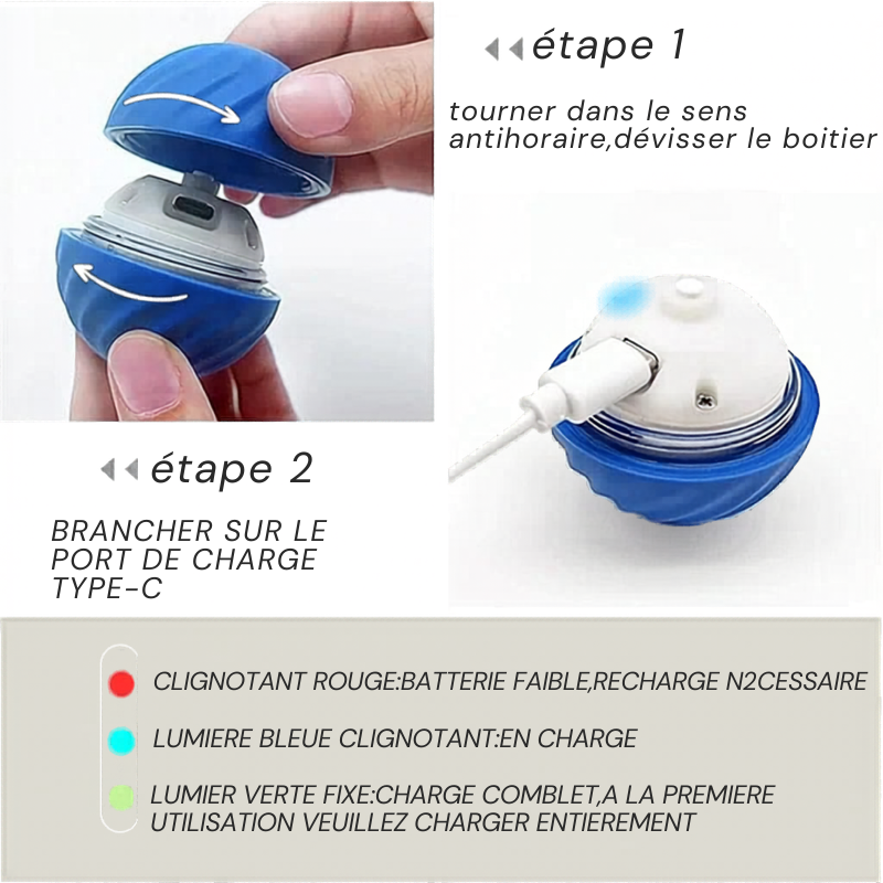 Balle Interactive Électronique pour Chien & Chat — USB Rechargeable