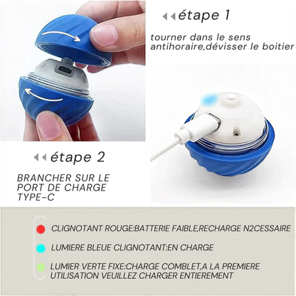 Balle Interactive Électronique pour Chien & Chat — USB Rechargeable