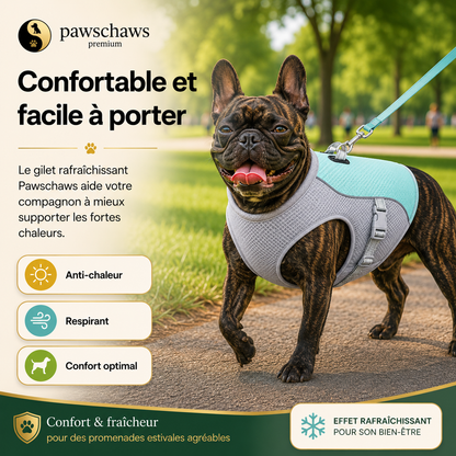 Gilet rafraîchissant pour chien avec ajustement sécurisé, boucles réglables et anneau pour laisse intégré.