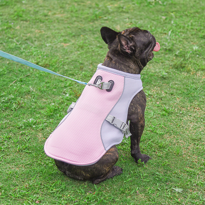 Chien portant le gilet rafraîchissant rose Pawschaws offrant confort et fraîcheur pendant les fortes chaleurs.