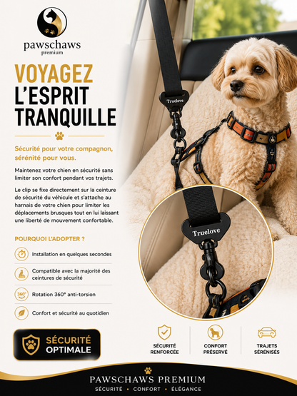 Chien attaché en voiture avec clip de sécurité Pawschaws Premium fixé à la ceinture de sécurité