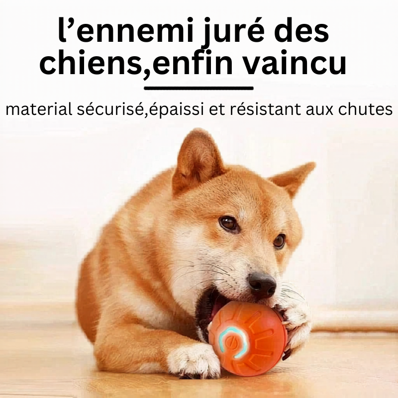 Balle Interactive Électronique pour Chien & Chat — USB Rechargeable