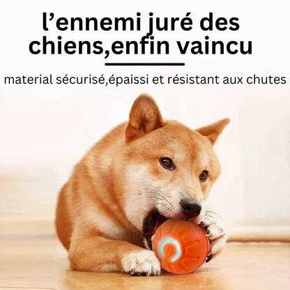 Balle Interactive Électronique pour Chien & Chat — USB Rechargeable