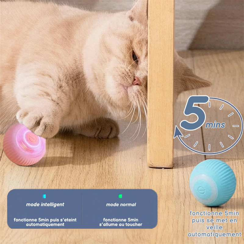 Balle Interactive Électronique pour Chien & Chat — USB Rechargeable