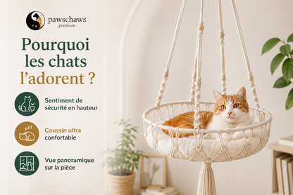 Chat détendu dans un hamac suspendu en macramé offrant sécurité, confort et vue en hauteur.