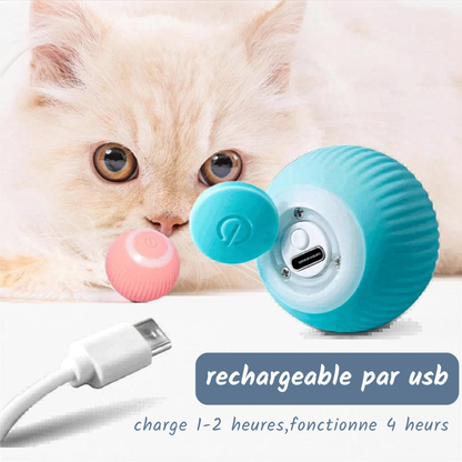 Balle Interactive Électronique pour Chien & Chat — USB Rechargeable