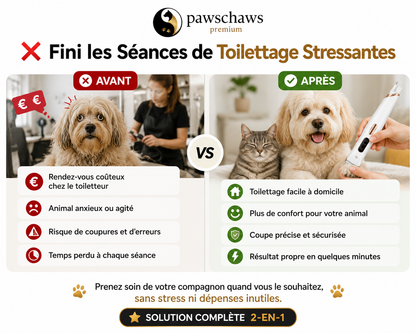 Fini les Séances de Toilettage Stressantes | Avant / Après